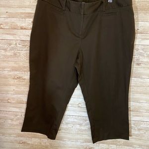 Apt. 9, Maxwell, Flat Front Capris Sz 18